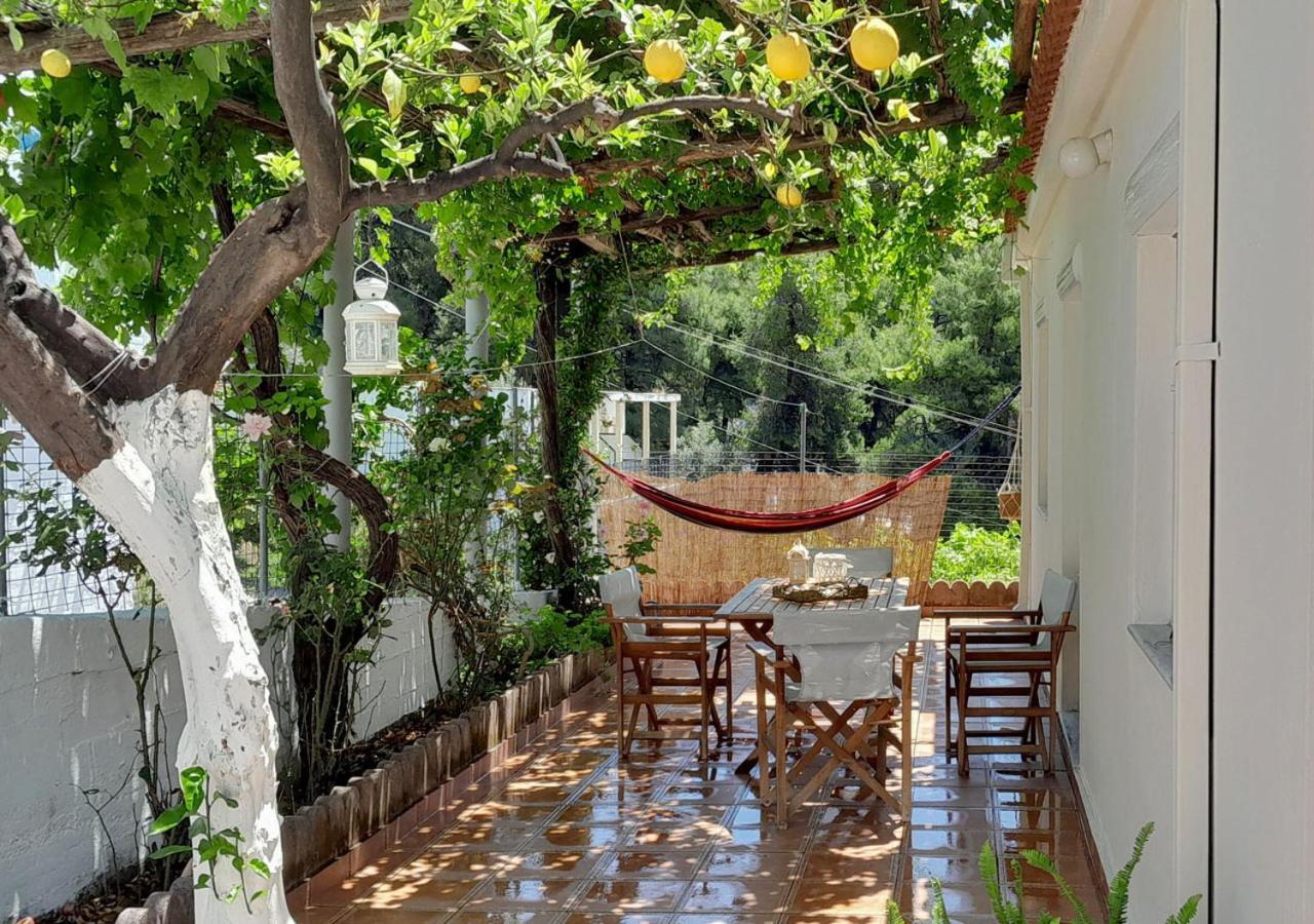 Lemon House * Neo Klima